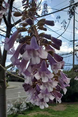 17:47:50 GMT-0700 (PDT)