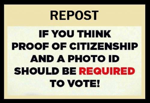 voter id