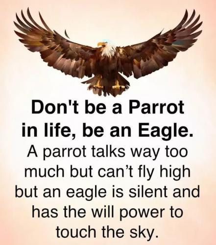 13:36:34 GMT-0600 (CST).image