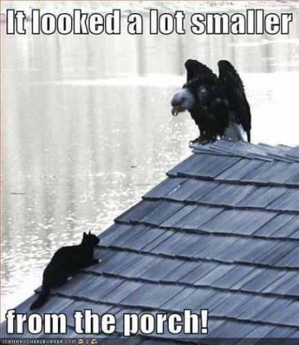 9E508F21-2488-420F-A687-66260204D46B