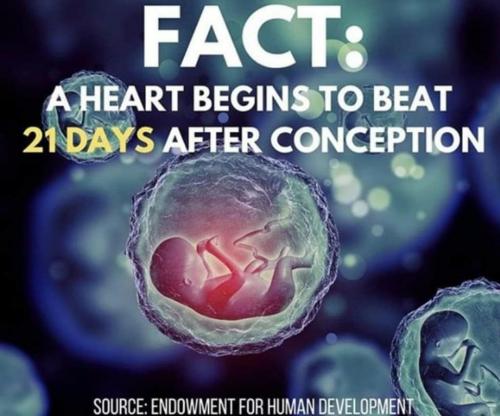 15:36:02 GMT-0600 (CST)