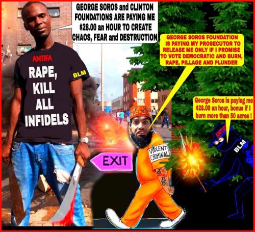 11:00:46 GMT-1000 (HST)