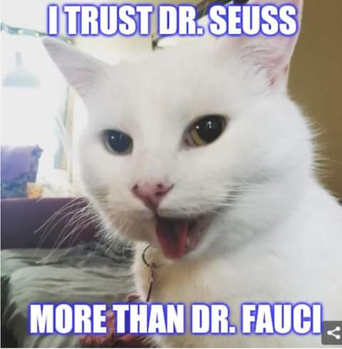 22:10:08 GMT-0800 (PST)