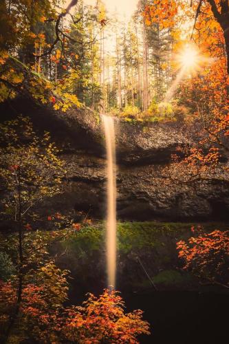 158863070_1529935700539108_8259092940555346232_o