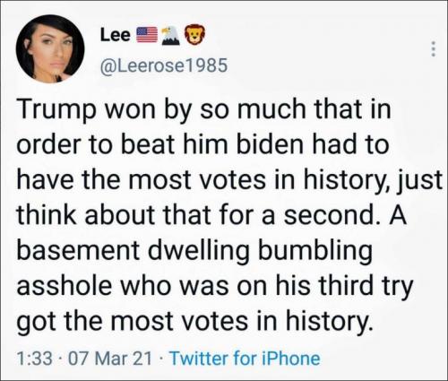 voterfraud152