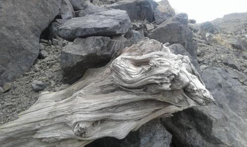 05:35:41 GMT-0700 (PDT)