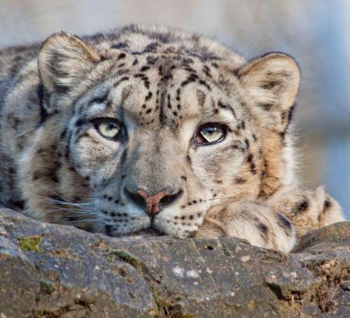 166395812_1543515939181084_752678426739031741_o