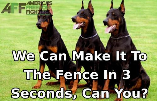 photostudio_1615768847686