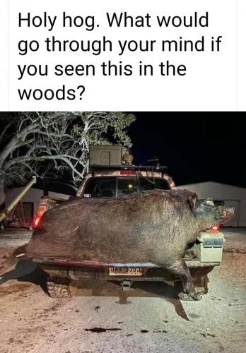 20:11:35 GMT-0500 (EST)