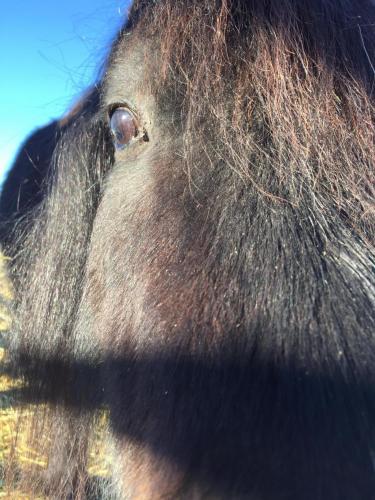 07:39:25 GMT-0800 (PST).image