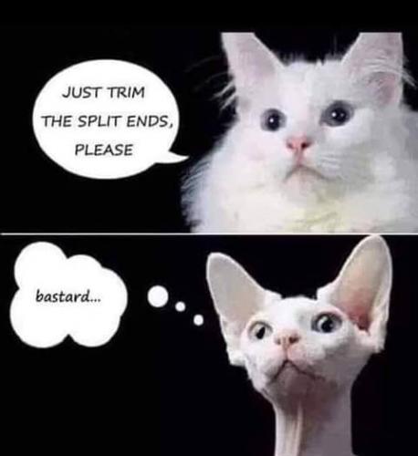 19:07:11 GMT-0700 (PDT)