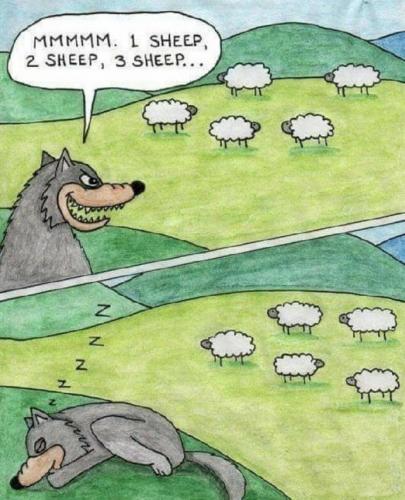 119434621_3248954881824264_4290638752131579443_o