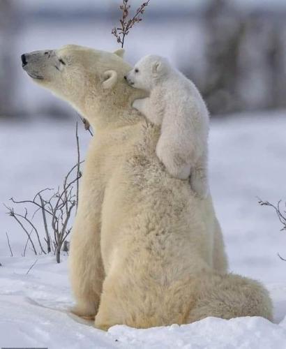 161709563_10227234370512114_8117581583191682481_n