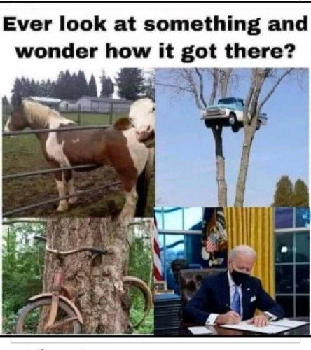 05:53:23 GMT-0500 (EST).image