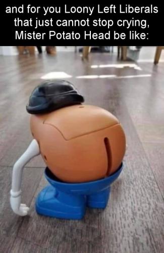 mister potato head14