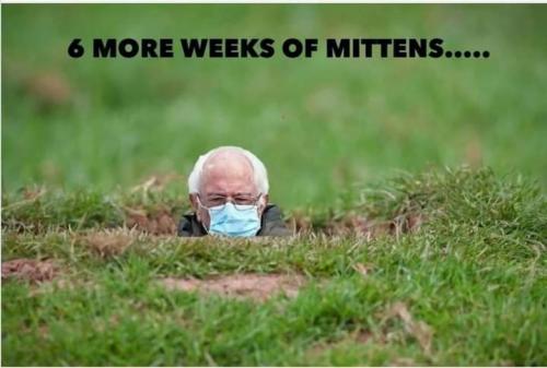 14:25:31 GMT-0500 (EST)