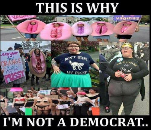 NOT A DEMOCRAT