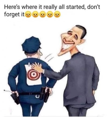 1bd