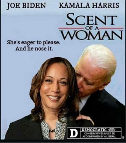 photo_2021-02-10_22-01-16