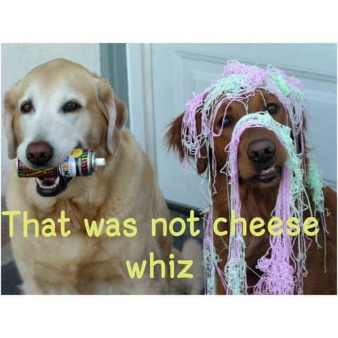 14:03:49 GMT-0700 (PDT)