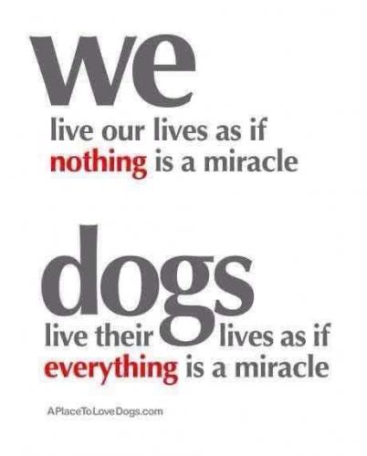 16:28:19 GMT-0500 (CDT)