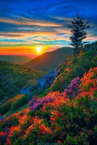 22:04:20 GMT-0500 (CDT)