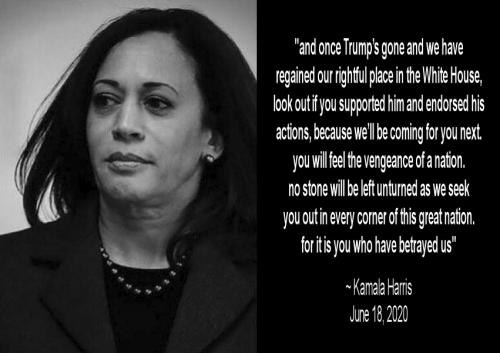 kamala harris112