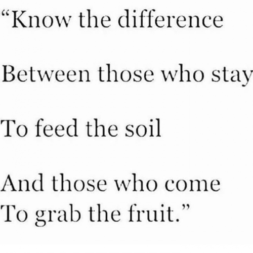 28577239_1988756924674435_2677315276667452070_n