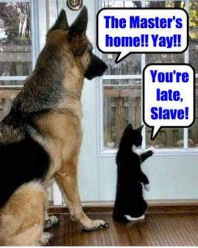 12:23:22 GMT-0600 (CST)