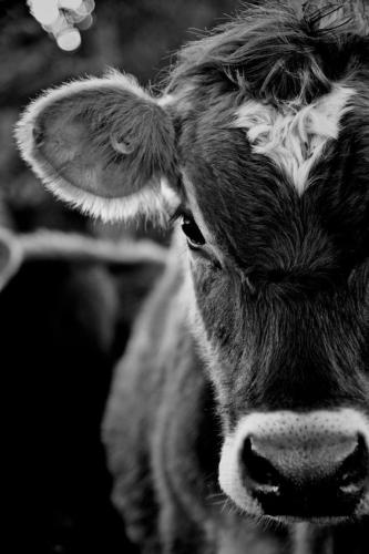 bcea1e27c7270837877dbd2cc7525586