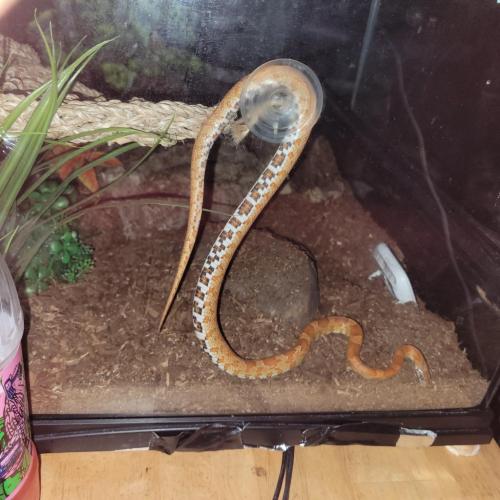 22:14:57 GMT-0400 (EDT)