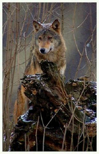 20:19:04 GMT-0600 (CST)