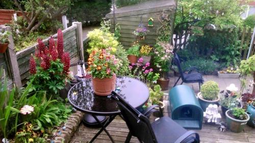 121115401_1548142028680219_633087853901417053_n - Copy