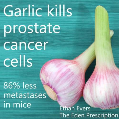 18:16:32 GMT-0600 (MDT)