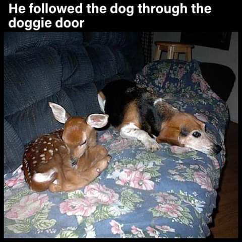 19:20:34 GMT-0800 (PST)