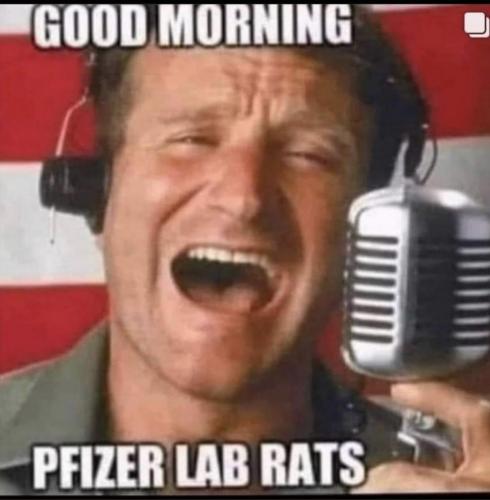 01:19:14 GMT-0800 (PST).image