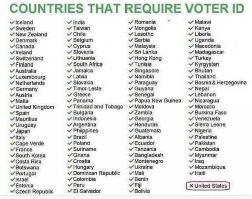 voter ID