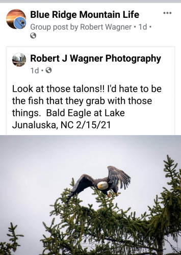 10:36:12 GMT-0500 (EST)