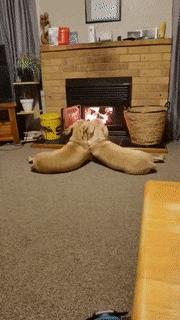 13:26:40 GMT-0400 (EDT)