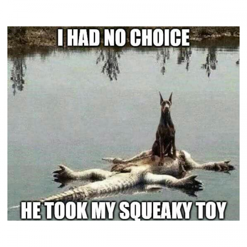 TOY