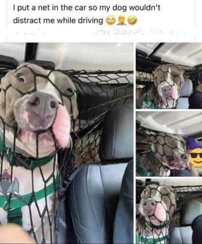 15:20:57 GMT-0800 (PST)