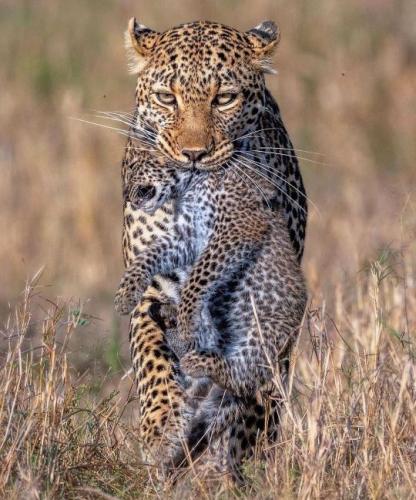 tumblr_46fd6ab7ddafa781dedc82752bacc948_3f01a86e_540