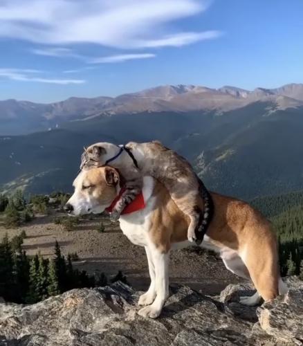 F8142E16-E527-4B4C-966E-BB04B7D29720