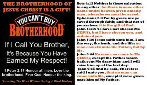 12804625_1010188382396626_5795837034123250857_n