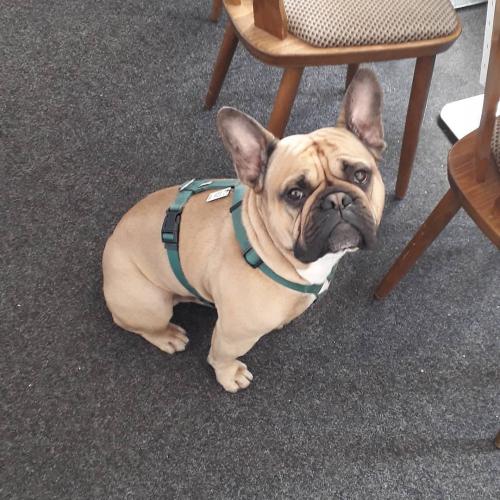 19:35:18 GMT+0700 (+07)