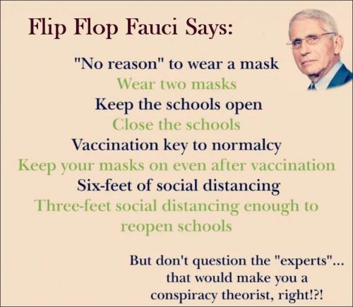 fauci28