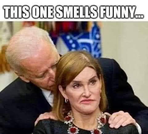 a89d2e833c47d0f05cec3716cb582911