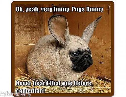 14:17:38 GMT-0500 (CDT)