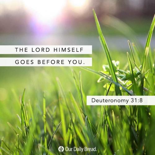 08:01:15 GMT-0800 (PST)