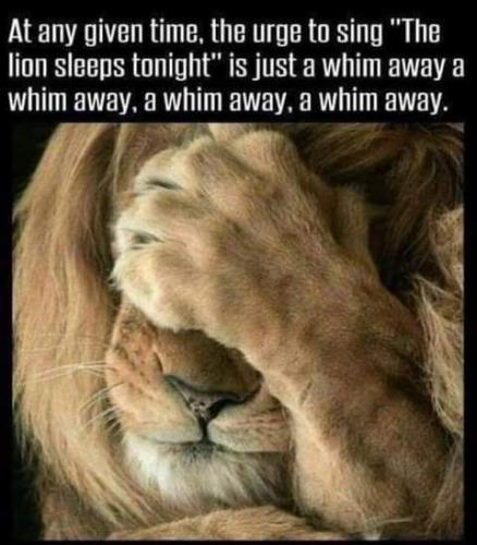 16:02:39 GMT-0700 (PDT)